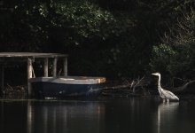 WkP9030412-1k.jpg WkP9030412-1k.jpg