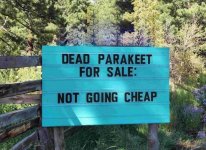 4FCFF322-AFDB-420A-9C7E-E03B5D9BB4DD.jpeg 4FCFF322-AFDB-420A-9C7E-E03B5D9BB4DD.jpeg