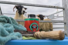 _7511057.jpg _7511057.jpg