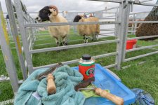 _7511054.jpg _7511054.jpg