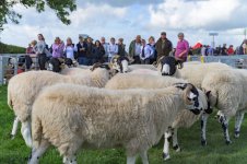 _78O4400.jpg _78O4400.jpg