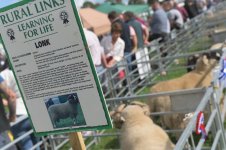 _78O4441.jpg _78O4441.jpg