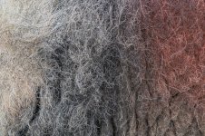 _78O4291.jpg _78O4291.jpg