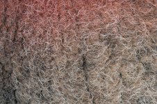 _78O4289.jpg _78O4289.jpg