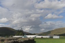 _78O4517.jpg _78O4517.jpg