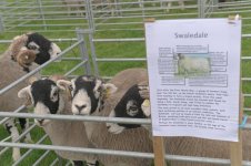 _7814668.jpg _7814668.jpg