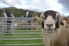 _7814756.jpg _7814756.jpg