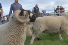 _7814783.jpg _7814783.jpg