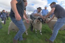 _7820056.jpg _7820056.jpg