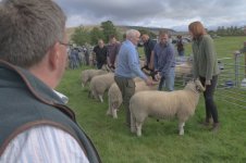 _7820062.jpg _7820062.jpg