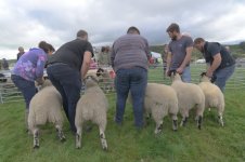 _7820086.jpg _7820086.jpg