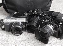 M43 cameras GX7 GH2 E-PL5 taken with TZ70 P1030671.JPG