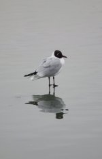 DSCF0262.JPG DSCF0262.JPG