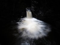 DSCF2220 no edit.JPG DSCF2220 no edit.JPG