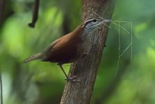 52357405416_20efe982c5_bx.jpg 52357405416_20efe982c5_bx.jpg