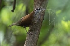 EF7A2651-3.jpg EF7A2651-3.jpg