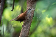 20220901110653.jpg 20220901110653.jpg