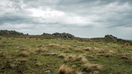 009 Legis Tor 01-8806 PS Adj.JPG