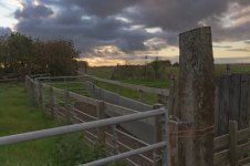 _7815135 - Copy.jpg _7815135 - Copy.jpg