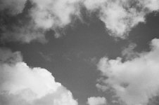 009 Cloudscape 01-66800024 PS Adj.JPG