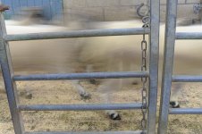 _7815292.jpg _7815292.jpg