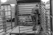 _7815448.jpg _7815448.jpg