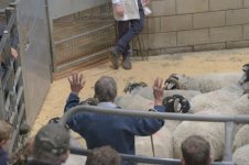 _7815367.jpg _7815367.jpg