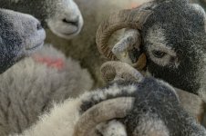 _7815282.jpg _7815282.jpg