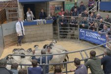 _7815366.jpg _7815366.jpg