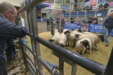 _7820470.jpg _7820470.jpg