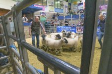 _7820477.jpg _7820477.jpg