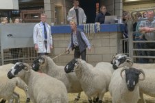 _7815426.jpg _7815426.jpg