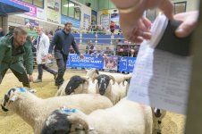 _7820427.jpg _7820427.jpg