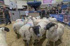 _7820374.jpg _7820374.jpg