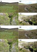 Snapfish cropping 1000H L10.jpg