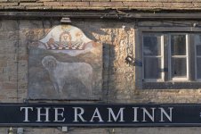 _7815464.jpg _7815464.jpg