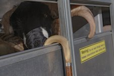 _7815942.jpg _7815942.jpg