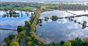 Screenshot_20201207-215010_Flickr.jpg Screenshot_20201207-215010_Flickr.jpg