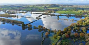 Screenshot_20201207-214923_Flickr.jpg Screenshot_20201207-214923_Flickr.jpg