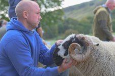 _7815637.jpg _7815637.jpg