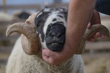 _7815644.jpg _7815644.jpg