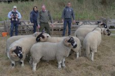 _7815652.jpg _7815652.jpg