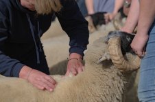 _7815723.jpg _7815723.jpg