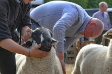 _7815819.jpg _7815819.jpg