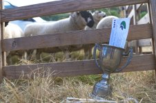 _7815857.jpg _7815857.jpg