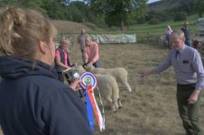 _7815895.jpg _7815895.jpg