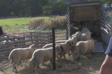 _7815919.jpg _7815919.jpg