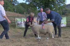 _7815899.jpg _7815899.jpg