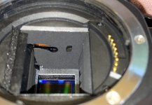 IMG_1965.jpg IMG_1965.jpg