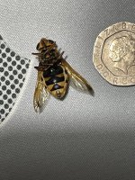 84C944A7-51F5-483B-8B26-318AB0E15FD8.jpeg 84C944A7-51F5-483B-8B26-318AB0E15FD8.jpeg